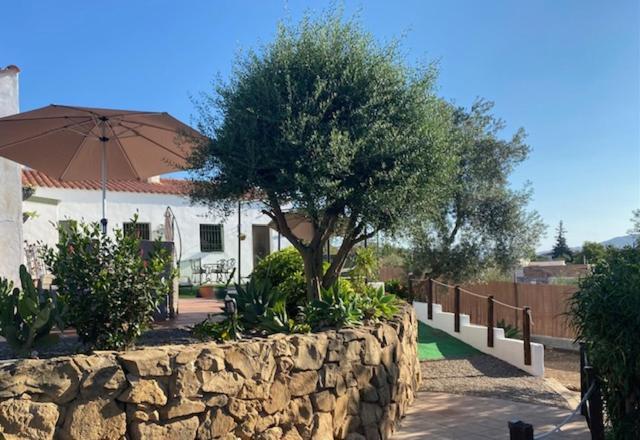 La Casa Palmera - Caminito Del Rey Pizarra Bagian luar foto